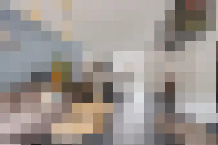 Koetsiersweg 10 Helden thumbnail 11
