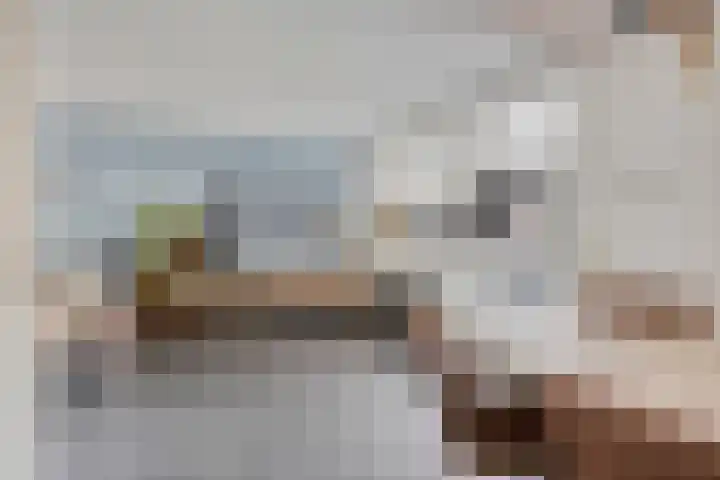 Koetsiersweg 10 Helden thumbnail 13