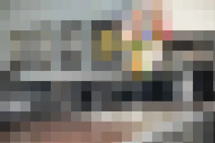 Koetsiersweg 10 Helden thumbnail 21