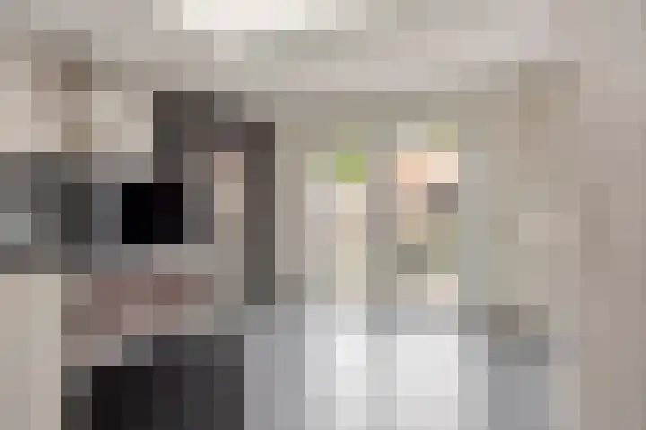 Koetsiersweg 10 Helden thumbnail 22