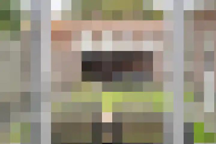 Koetsiersweg 10 Helden thumbnail 24