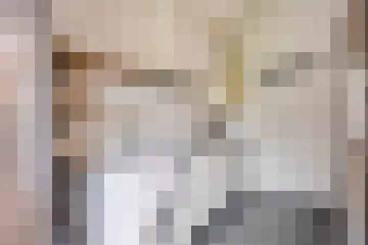Koetsiersweg 10 Helden thumbnail 25