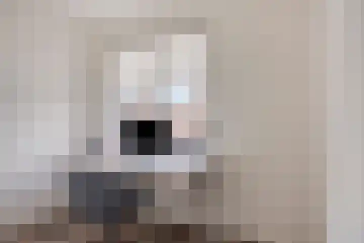 Koetsiersweg 10 Helden thumbnail 34