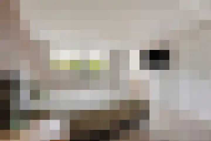 Koetsiersweg 10 Helden thumbnail 37