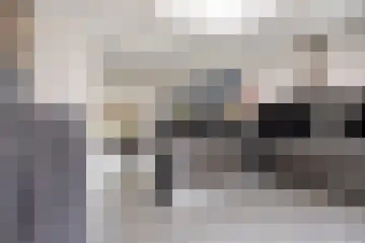 Koetsiersweg 10 Helden thumbnail 4