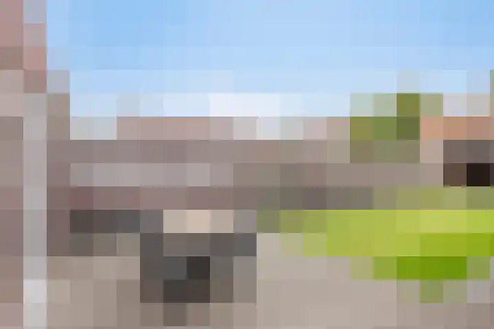 Koetsiersweg 10 Helden thumbnail 40