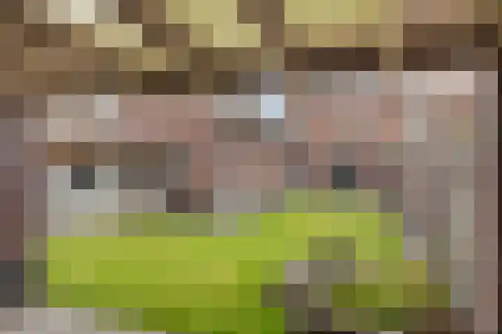 Koetsiersweg 10 Helden thumbnail 46
