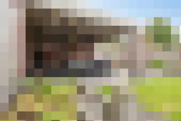 Koetsiersweg 10 Helden thumbnail 47