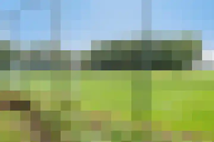 Koetsiersweg 10 Helden thumbnail 55