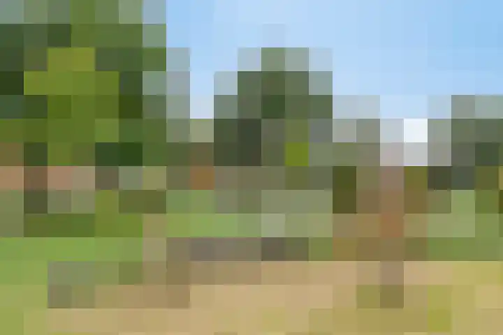 Koetsiersweg 10 Helden thumbnail 56