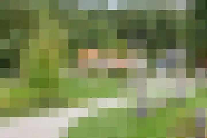 Koetsiersweg 10 Helden thumbnail 57