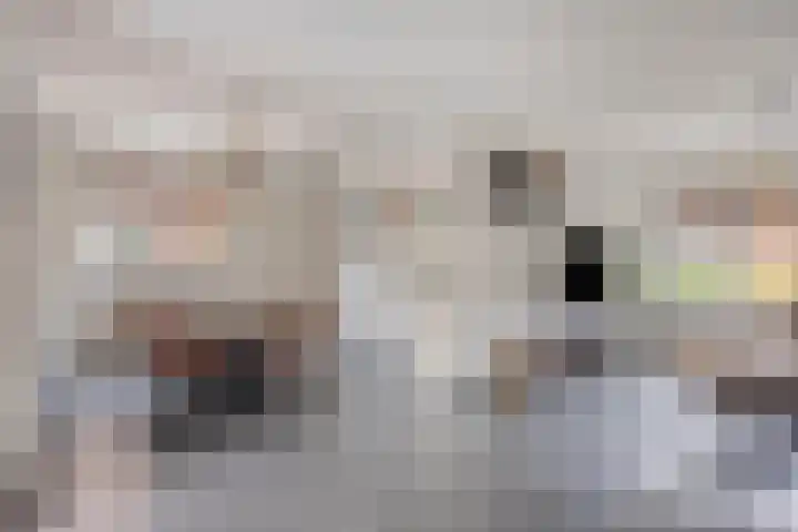 Koetsiersweg 10 Helden thumbnail 8