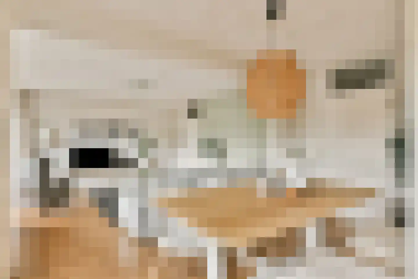Koetsiersweg 106 Sassenheim thumbnail 13