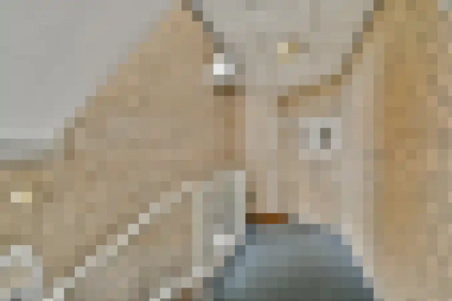 Koetsiersweg 106 Sassenheim thumbnail 25