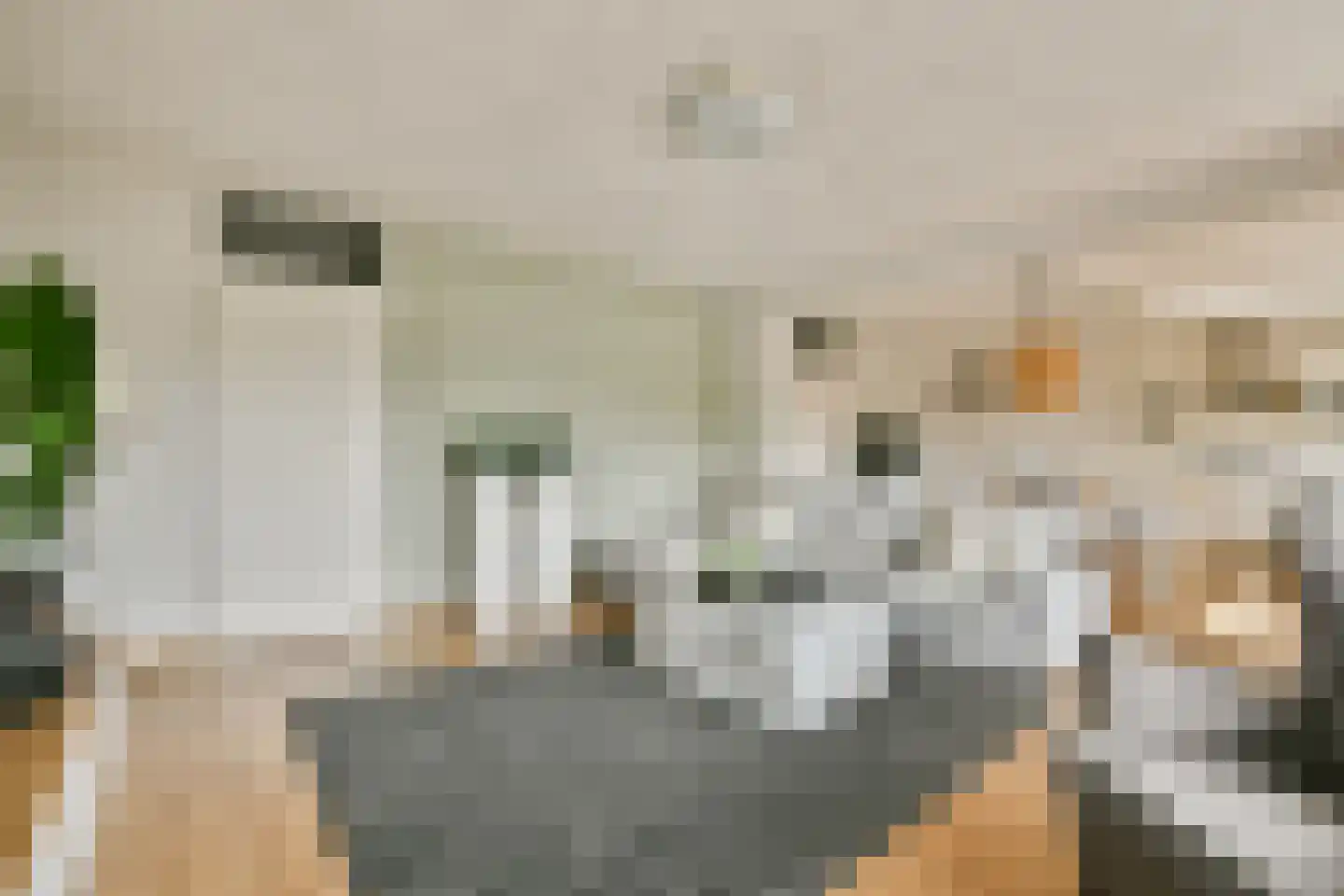 Koetsiersweg 106 Sassenheim thumbnail 7