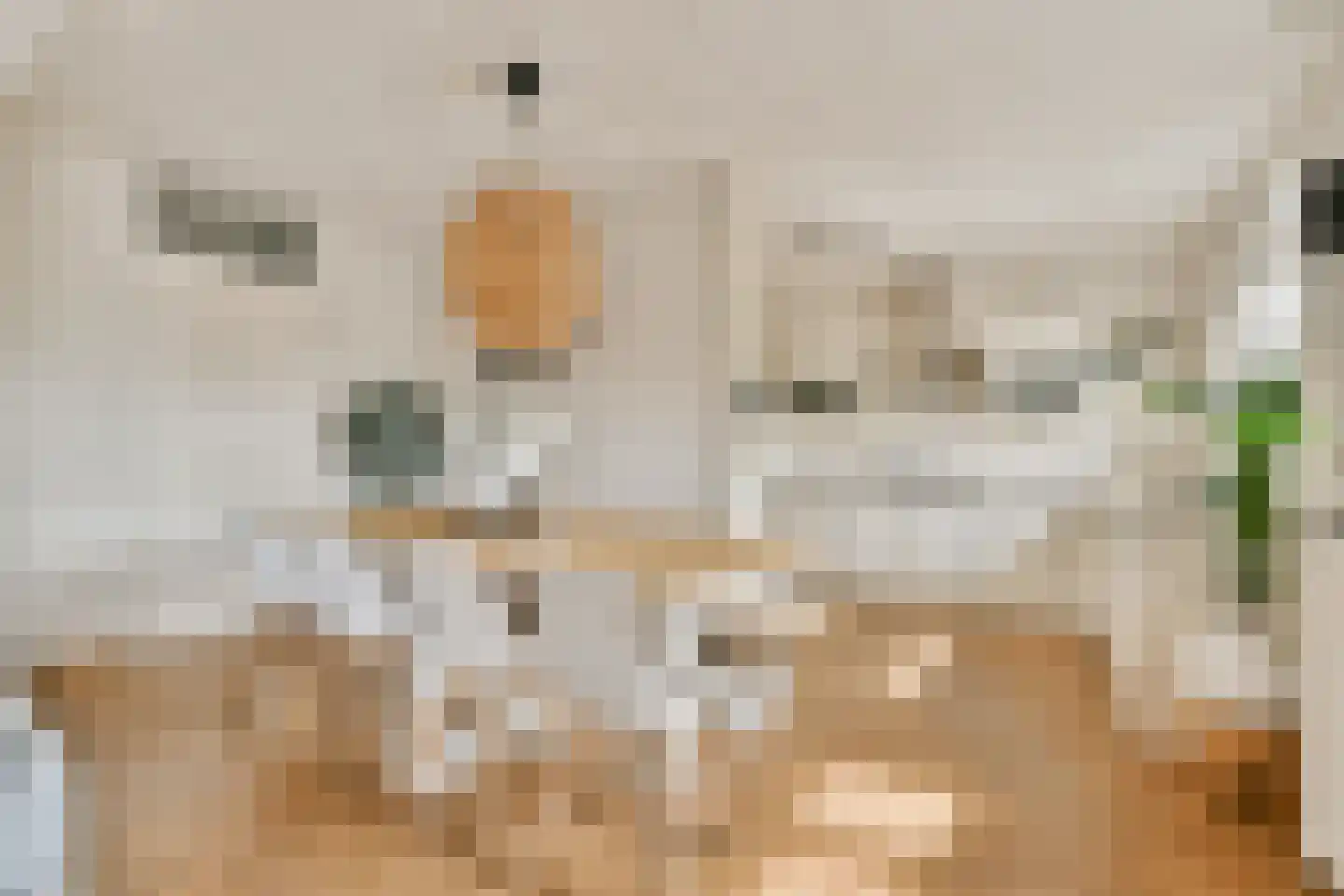 Koetsiersweg 106 Sassenheim thumbnail 8