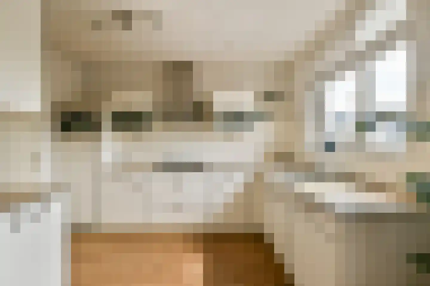 Koetsiersweg 106 Sassenheim thumbnail 9