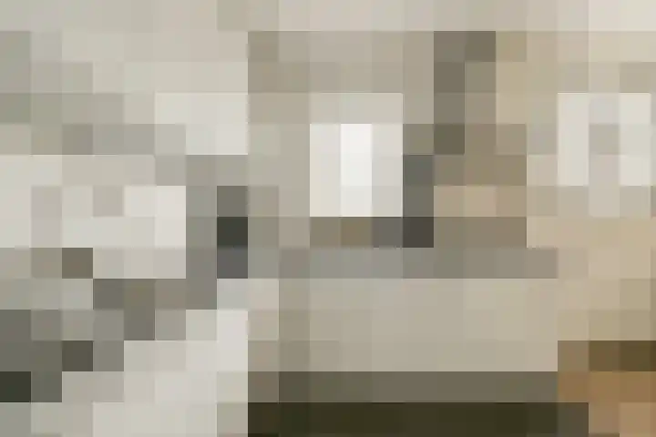 Koetsiersweg 206 Sassenheim thumbnail 10