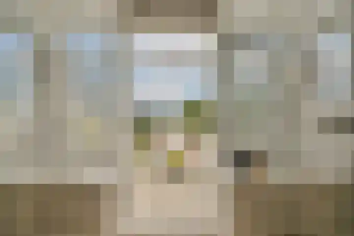 Koetsiersweg 206 Sassenheim thumbnail 11