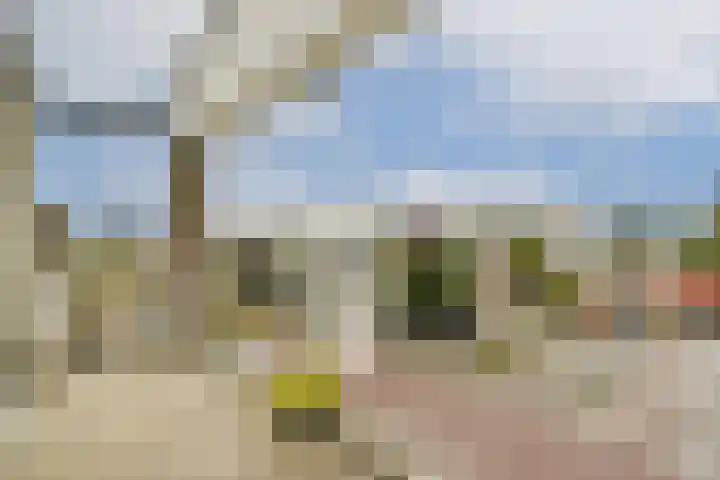 Koetsiersweg 206 Sassenheim thumbnail 12
