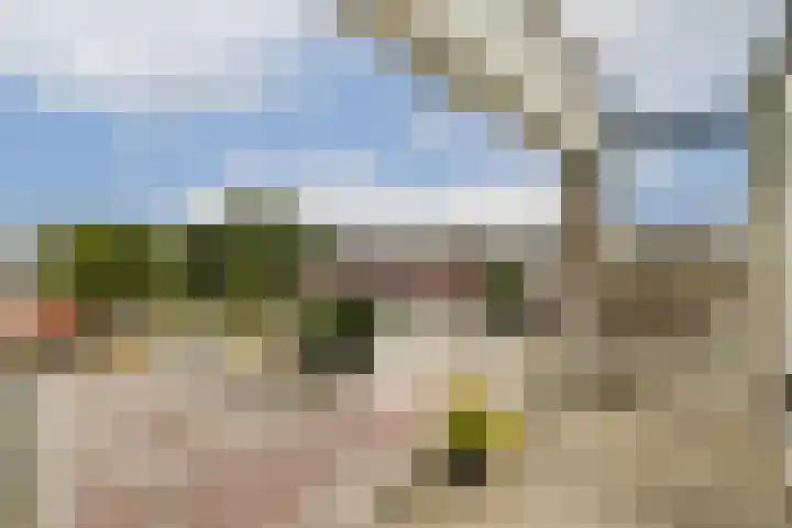 Koetsiersweg 206 Sassenheim thumbnail 13