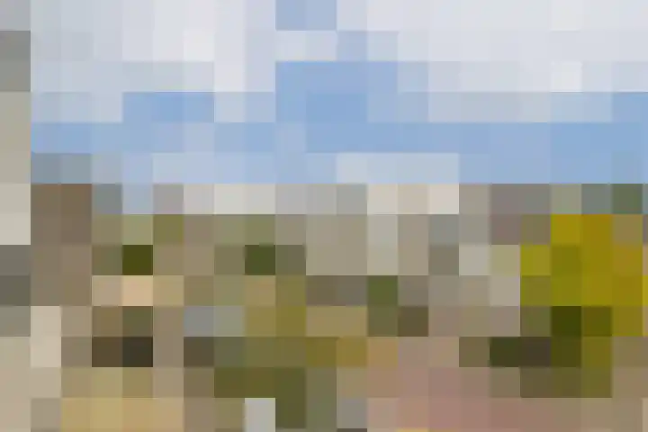 Koetsiersweg 206 Sassenheim thumbnail 14