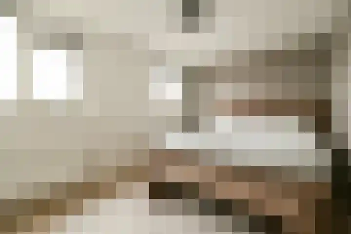 Koetsiersweg 206 Sassenheim thumbnail 18