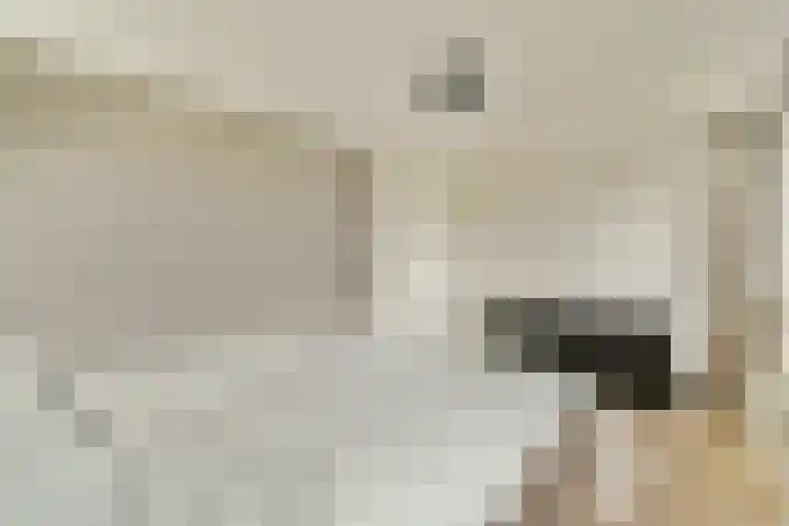 Koetsiersweg 206 Sassenheim thumbnail 19