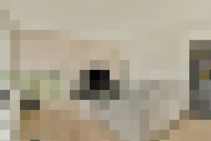 Koetsiersweg 206 Sassenheim thumbnail 4