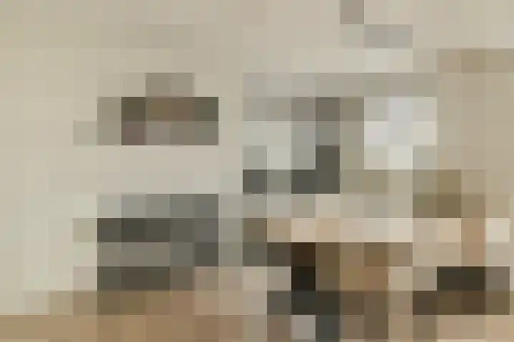 Koetsiersweg 206 Sassenheim thumbnail 6