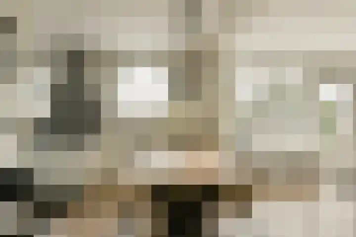 Koetsiersweg 206 Sassenheim thumbnail 7