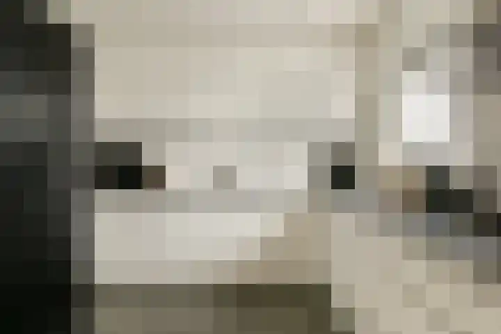 Koetsiersweg 206 Sassenheim thumbnail 9