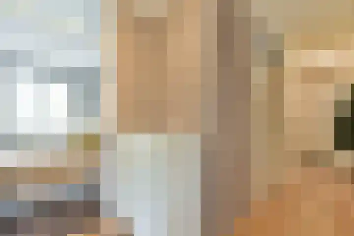 Koetsiersweg 28 Sassenheim thumbnail 12