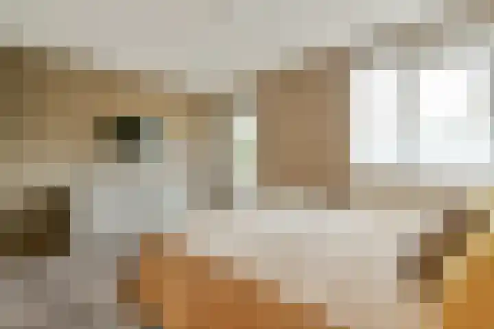 Koetsiersweg 28 Sassenheim thumbnail 13