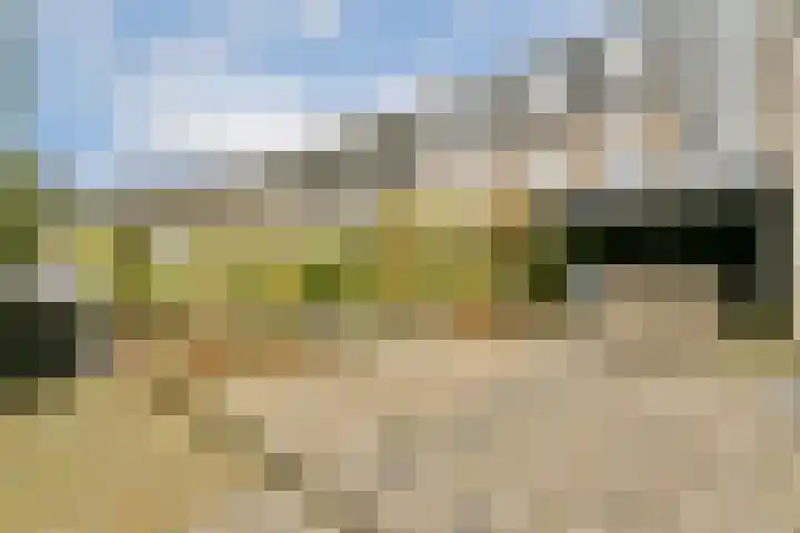 Koetsiersweg 28 Sassenheim thumbnail 16