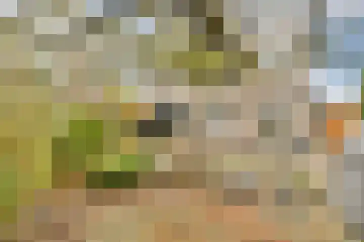 Koetsiersweg 28 Sassenheim thumbnail 17