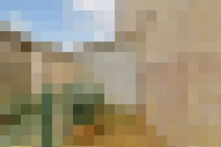 Koetsiersweg 28 Sassenheim thumbnail 18