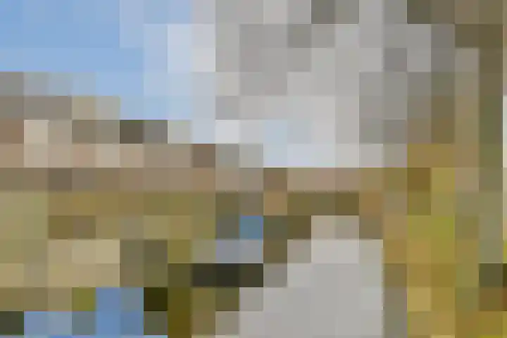 Koetsiersweg 28 Sassenheim thumbnail 25