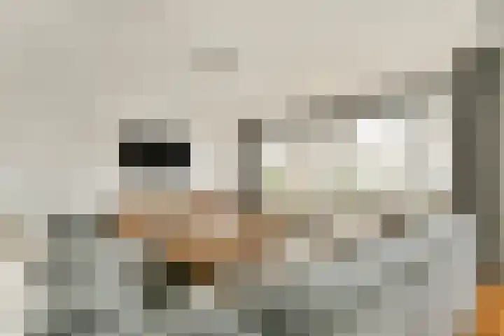 Koetsiersweg 28 Sassenheim thumbnail 5