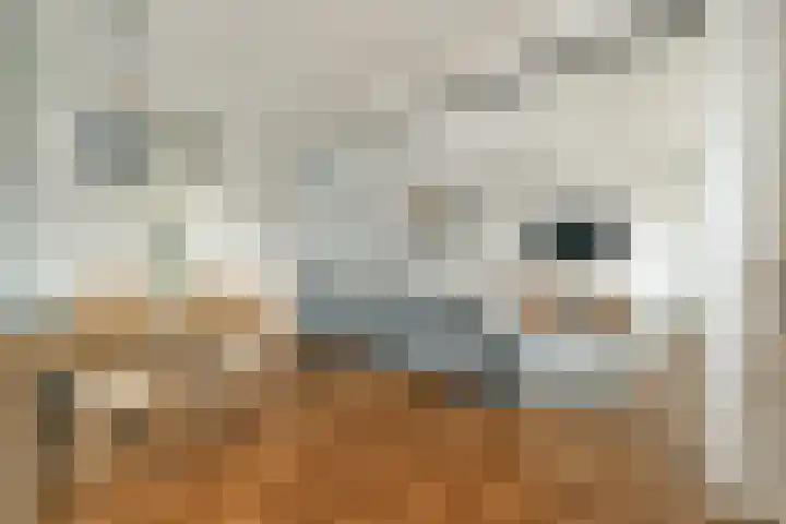 Koetsiersweg 28 Sassenheim thumbnail 7