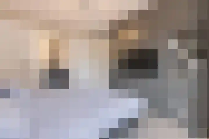Koetsierwaard 8 Arnhem thumbnail 20