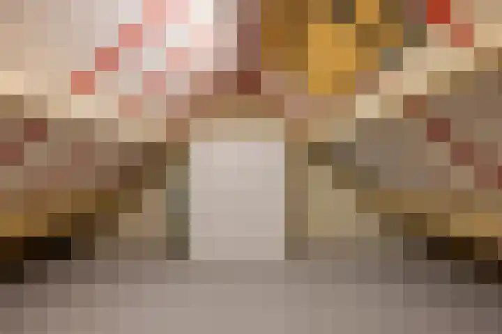 Koetsierwei 24 Valkenswaard thumbnail 17