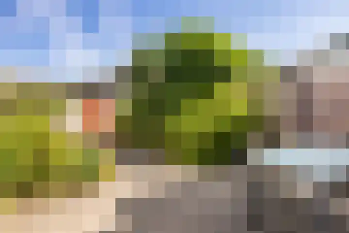 Koetsierwei 24 Valkenswaard thumbnail 19