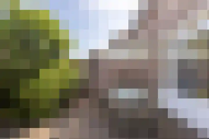 Koetsierwei 24 Valkenswaard thumbnail 20
