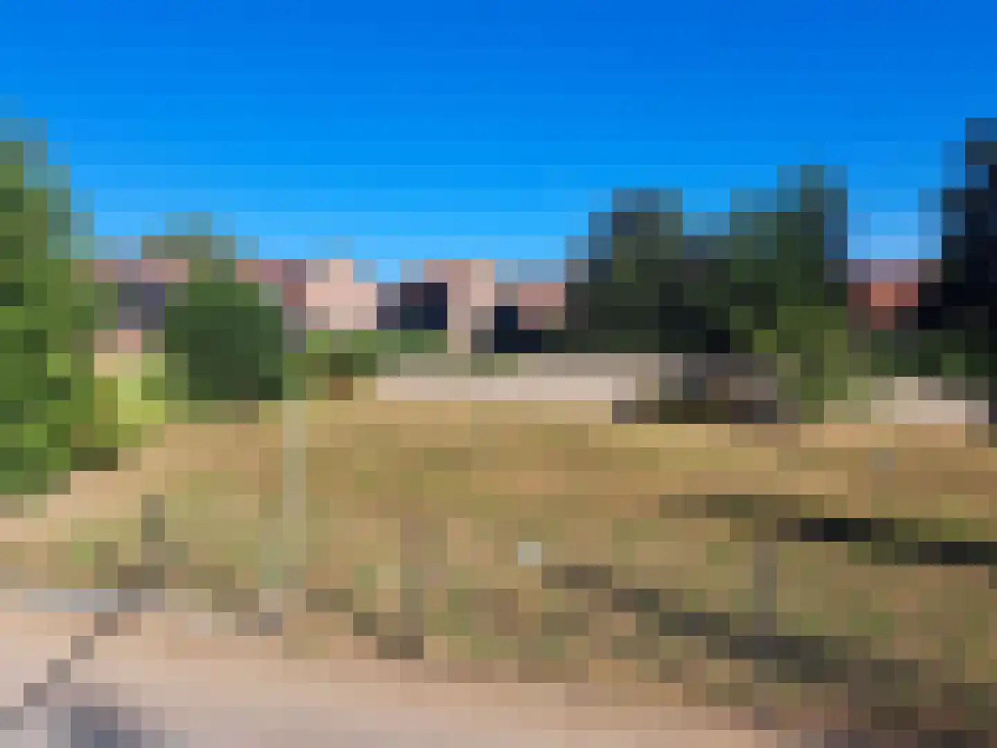 Koevaart Elsloo thumbnail 4