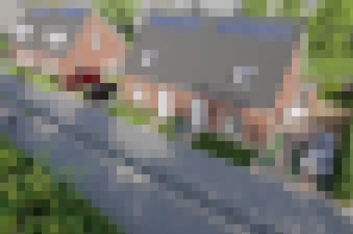 Koevaart Elsloo thumbnail 6