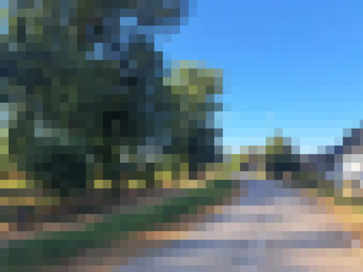 Koevaart Elsloo thumbnail 6