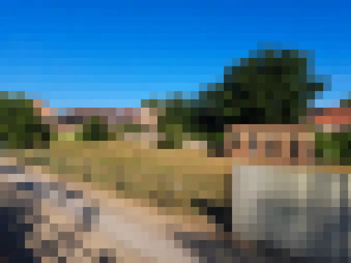 Koevaart Elsloo thumbnail 7
