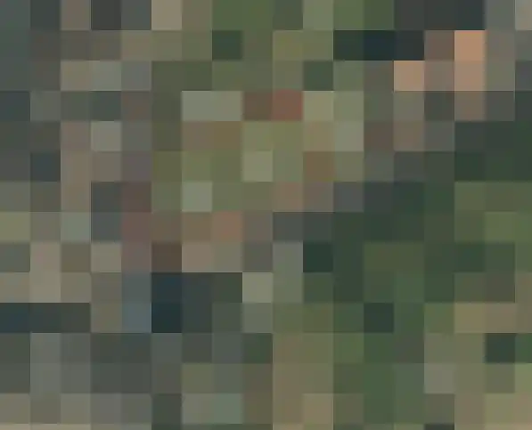 Koevaart Elsloo thumbnail 8