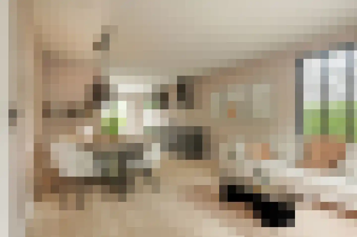 Koevaart Elsloo thumbnail 8